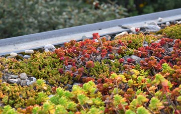 the cost of Callow Hill green roof installation